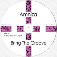 Artwork for Bring The Groove by Amniza