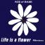 Artwork for Life Is a Flower