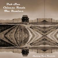 Artwork for Chinese Roads: The Remixes by Dub Size