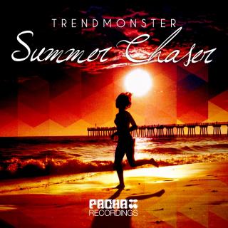 Artwork for Summer Chaser (Instrumental)