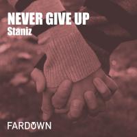 Artwork for Never Give Up by Staniz