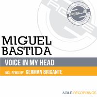 Artwork for Voice In My Head by Miguel Bastida