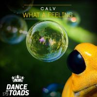 Artwork for What A Feeling by Calv