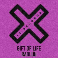 Artwork for Gift Of Life by Radluu