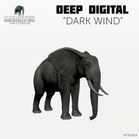 Artwork for Dark Wind by Deep Digital