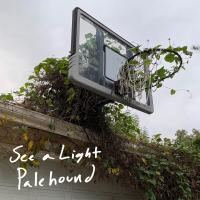 Artwork for See A Light by Palehound