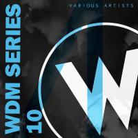 Artwork for WDM Series 10 by Various Artists