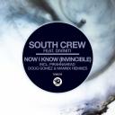 Artwork for Now I Know (Invincible) (Pirahnahead Remix)