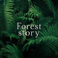 Artwork for Forest Story by Rain Sounds