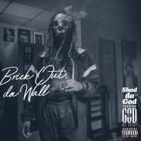 Artwork for Brick Out da Wall by Shad Da God