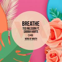 Artwork for Breathe by Ted Nilsson