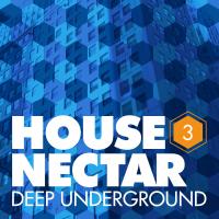 Artwork for Underground House Nectar, Vol. 3 by Various