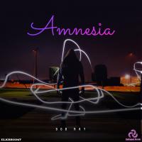 Artwork for Amnesia by Bob Ray