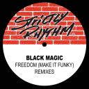 Artwork for Freedom (Make It Funky) (The T&F Club Remix)