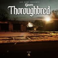 Artwork for Thoroughbred by Swurve