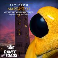 Artwork for Marrakesh Remixes by Jay Frog