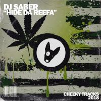 Artwork for Hide Da Reefa by DJ Saber