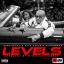 Artwork for Levels
