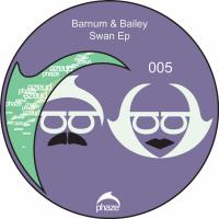 Artwork for Swan Ep by bailey