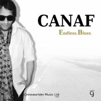 Artwork for Endless Blues by Canaf