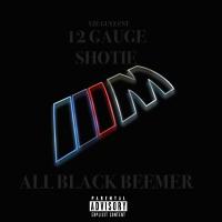 Artwork for All Black Beemer by 12 Gauge Shotie