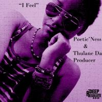 Artwork for I Feel by Thulane Da Producer