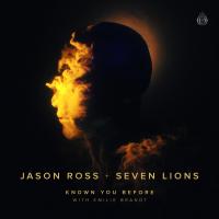 Artwork for Known You Before (with Emilie Brandt) by Jason Ross