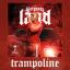 Artwork for Trampoline