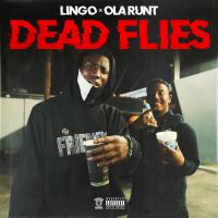 Artwork for Dead Flies (feat. Ola Runt) by Lingo