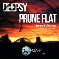 Artwork for Sunset Reflection by Prune Flat