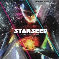 Artwork for Starseed by Cekay Pellegrini