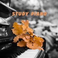 Artwork for Study Piano by Classical Study Music