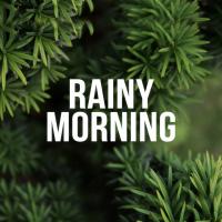 Artwork for Rainy Morning by Nature Sounds Nature Music