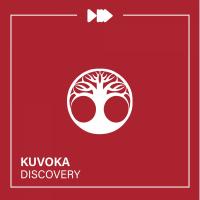 Artwork for Discovery by Kuvoka