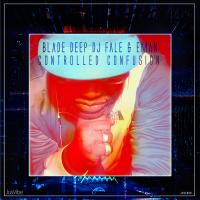 Artwork for Controlled Confusion by Blade Deep