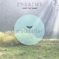 Artwork for Just The Same by Ensaime