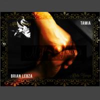 Artwork for Mbilu Yanga by Brian Lebza