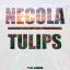 Artwork for Tulips (Original Mix)