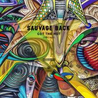 Artwork for Got The Hot by Sauvage Back