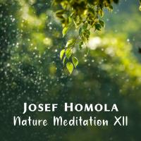 Artwork for Nature Meditation XII by Josef Homola
