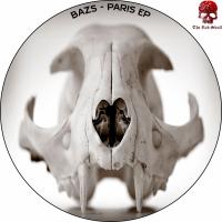 Artwork for Paris by Bazs