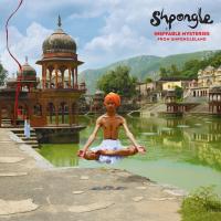 Artwork for Ineffable Mysteries From Shpongleland by Shpongle