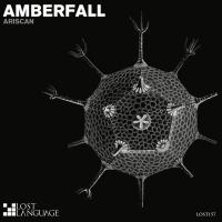 Artwork for Amberfall by Ariscan