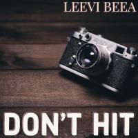 Artwork for Don’t Hit by Leevi Beea