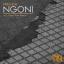 Artwork for Ngoni (Original Mix)