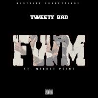 Artwork for FWM (feat. Wicket Point) by Tweety Brd