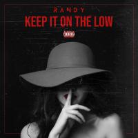 Artwork for Keep It On the Low by Randy