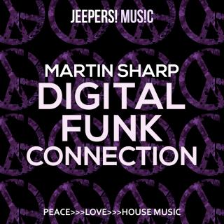 Artwork for Digital Funk Connection