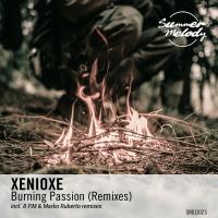 Artwork for Burning Passion (Remixes) by Xenioxe