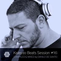 Artwork for Kaleydo Beats Session #16 by Various Artists